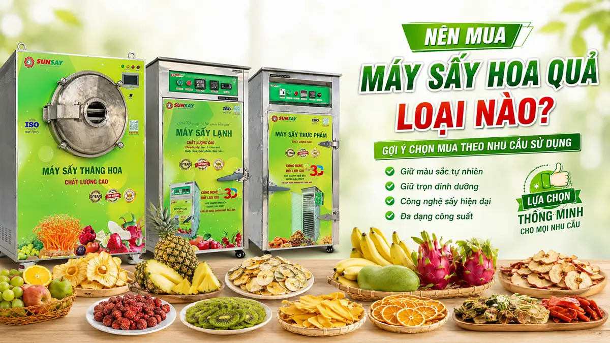 Nên mua máy sấy hoa quả loại nào: Sấy nhiệt, sấy lạnh hay sấy thăng hoa?