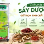 Máy sấy lạnh SUNSAY có phù hợp để sấy dược liệu không? Phù hợp để sấy dược liệu
