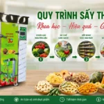 Những sai lầm cần tránh trong quy trình sấy thực phẩm Quy trình sấy thực phẩm