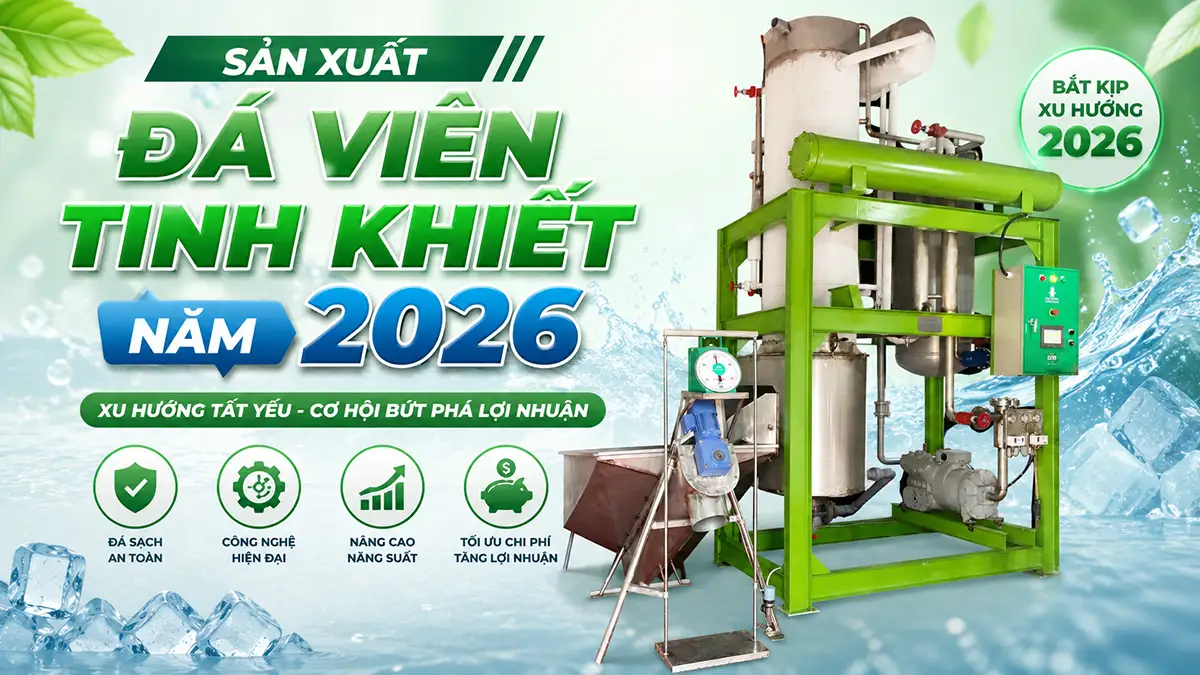 Công nghệ sản xuất đá viên tinh khiết năm 2026 khác gì trước đây?