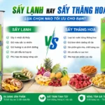 Sấy lạnh và sấy thăng hoa khác nhau thế nào về chất lượng? Sấy lạnh và sấy thăng hoa