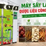 Máy sấy lạnh dược liệu công suất lớn giúp kiểm soát chất lượng từng mẻ sấy Máy sấy lạnh dược liệu công suất lớn