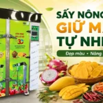 Vì sao máy sấy nông sản giữ màu sắc tự nhiên tốt hơn phương pháp phơi nắng? Máy sấy nông sản giữ màu sắc tự nhiên