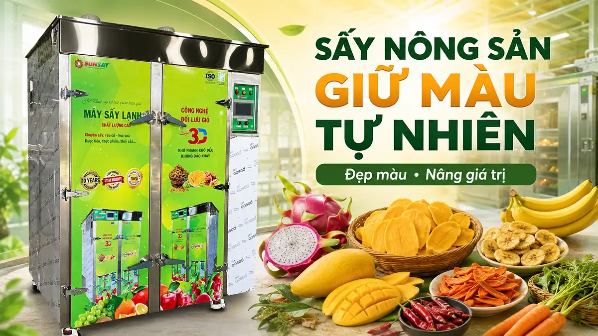 Vì sao máy sấy nông sản giữ màu sắc tự nhiên tốt hơn phương pháp phơi nắng?
