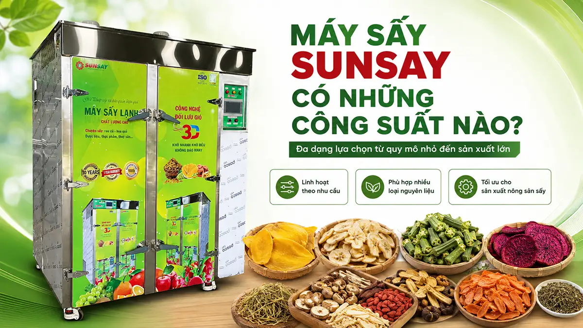 Máy sấy SUNSAY có những công suất nào? Cách chọn phù hợp nhu cầu