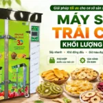 Đầu tư máy sấy trái cây khối lượng lớn cần quan tâm những gì? Máy sấy trái cây khối lượng lớn