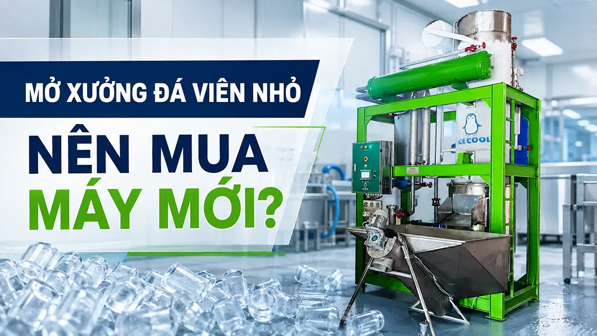 Mở xưởng đá viên nhỏ nên mua máy mới hay máy đã qua sử dụng?