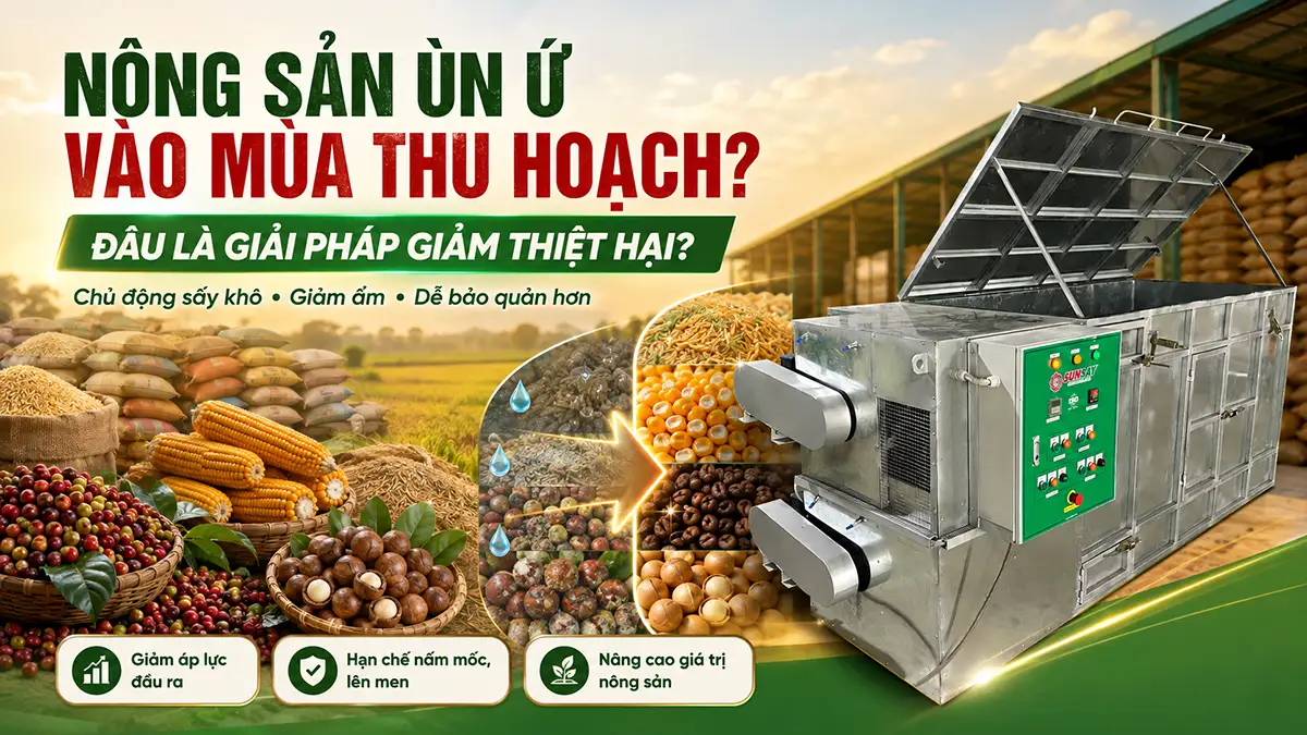 Nông sản ùn ứ vào mùa thu hoạch: Đâu là giải pháp giảm thiệt hại?