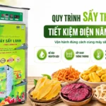 Quy trình sấy giúp tiết kiệm điện năng bằng máy sấy lạnh SUNSAY Quy trình sấy giúp tiết kiệm điện năng