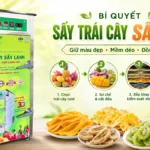 Quy trình sấy trái cây sấy dẻo giúp thành phẩm đẹp và đồng đều hơn Quy trình sấy trái cây sấy dẻo