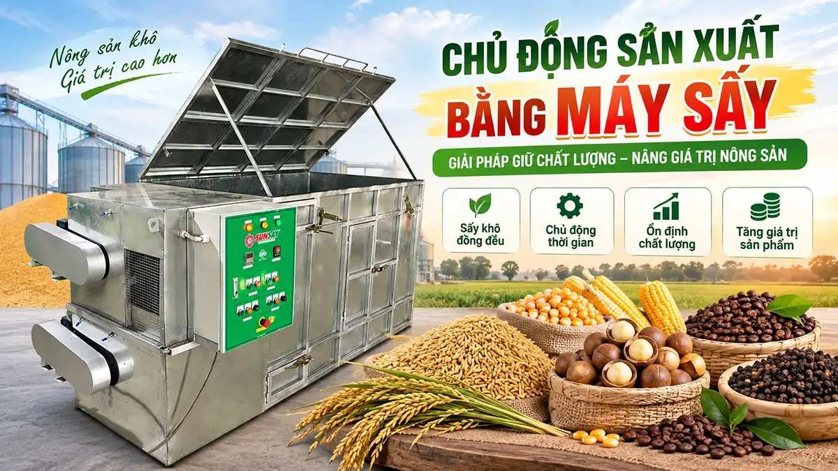 Từ phơi nắng phụ thuộc thời tiết đến chủ động sản xuất bằng máy sấy
