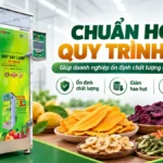 Doanh nghiệp cần chuẩn hóa quy trình sấy như thế nào? Chuẩn hoá quy trình sấy