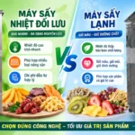 Máy sấy lạnh và máy sấy nhiệt đối lưu: Công nghệ nào kinh tế hơn? Máy sấy lạnh và máy sấy nhiệt đối lưu