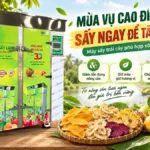 Máy sấy trái cây phù hợp với vụ mùa tại miền Tây trong mùa thu hoạch cao điểm Máy sấy trái cây phù hợp với vụ mùa
