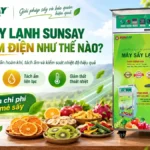 Máy sấy lạnh SUNSAY tiết kiệm điện như thế nào? Máy sấy lạnh SUNSAY tiết kiệm điện