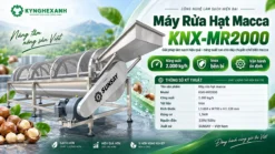 Máy rửa macca công nghiệp – Nâng cao hiệu quả sơ chế