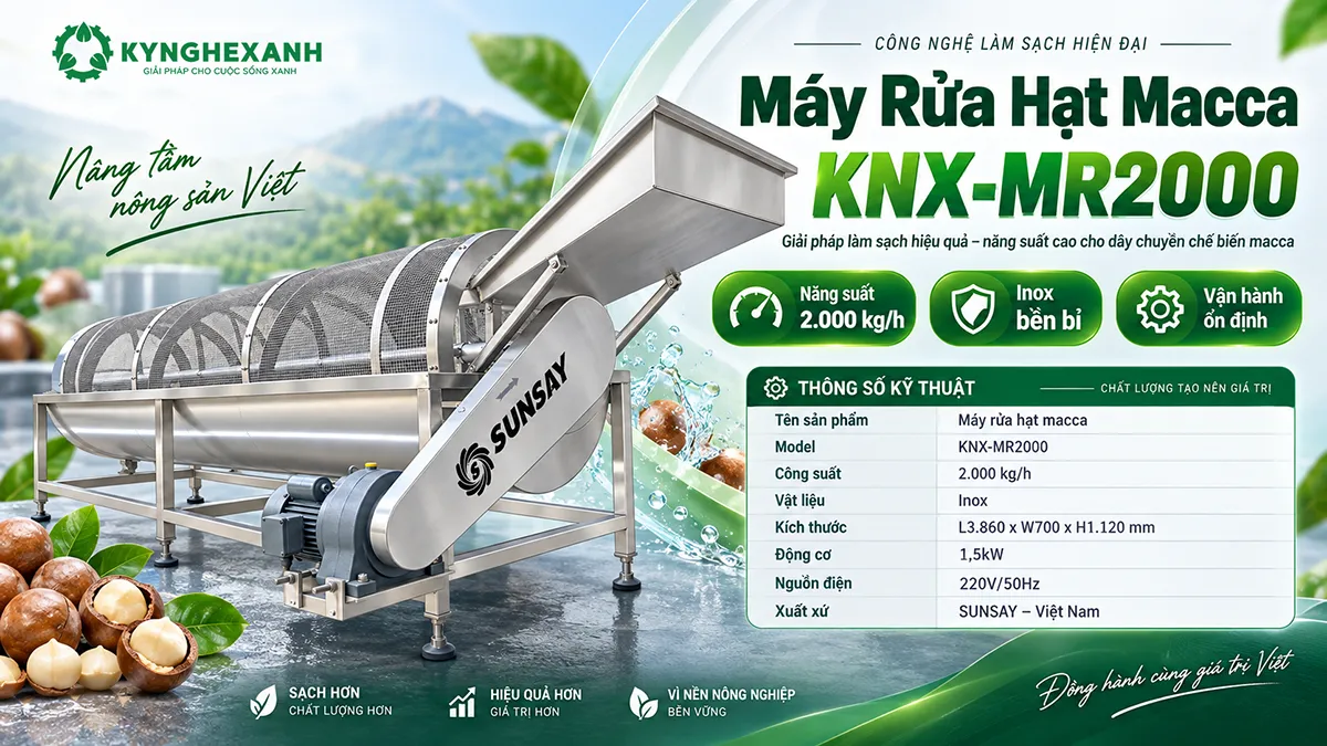 Máy rửa macca công nghiệp – Nâng cao hiệu quả sơ chế