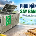 Phơi nắng và sấy bằng máy: So sánh hiệu quả kinh tế giữa 2 phương pháp này Phơi nắng và sấy bằng máy