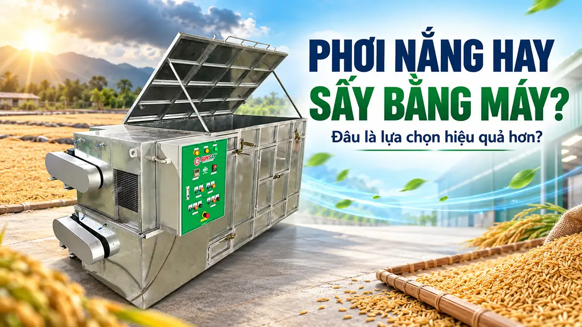 Phơi nắng và sấy bằng máy: So sánh hiệu quả kinh tế giữa 2 phương pháp này