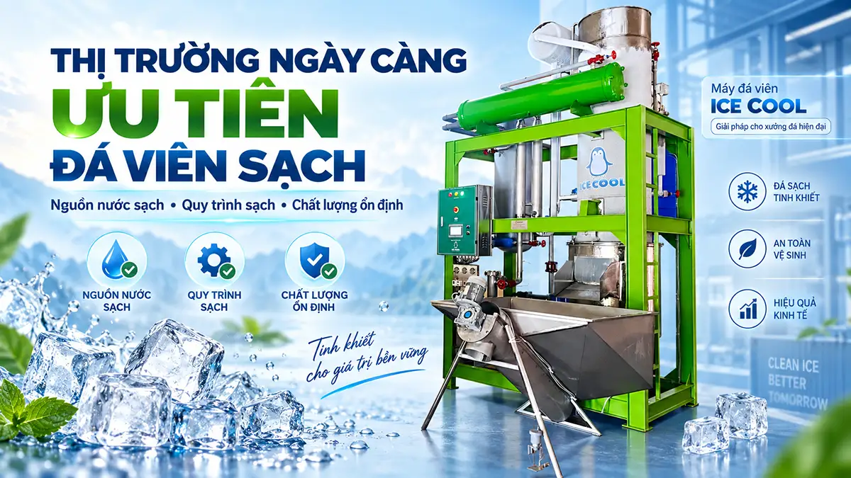 Vì sao thị trường ngày càng quan tâm đến đá viên sạch?