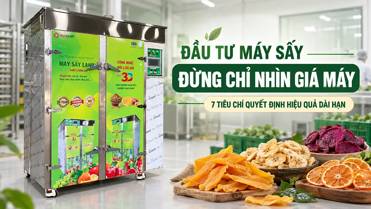 5 yếu tố quyết định hiệu quả đầu tư máy sấy trong sản xuất công nghiệp