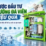 Các bước đầu tư xưởng sản xuất đá viên từ A đến Z cho người mới Các bước đầu tư xưởng sản xuất đá viên