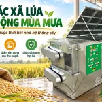 Hợp tác xã lúa giảm phụ thuộc thời tiết nhờ hệ thống sấy Hợp tác xã lúa giảm phụ thuộc thời tiết
