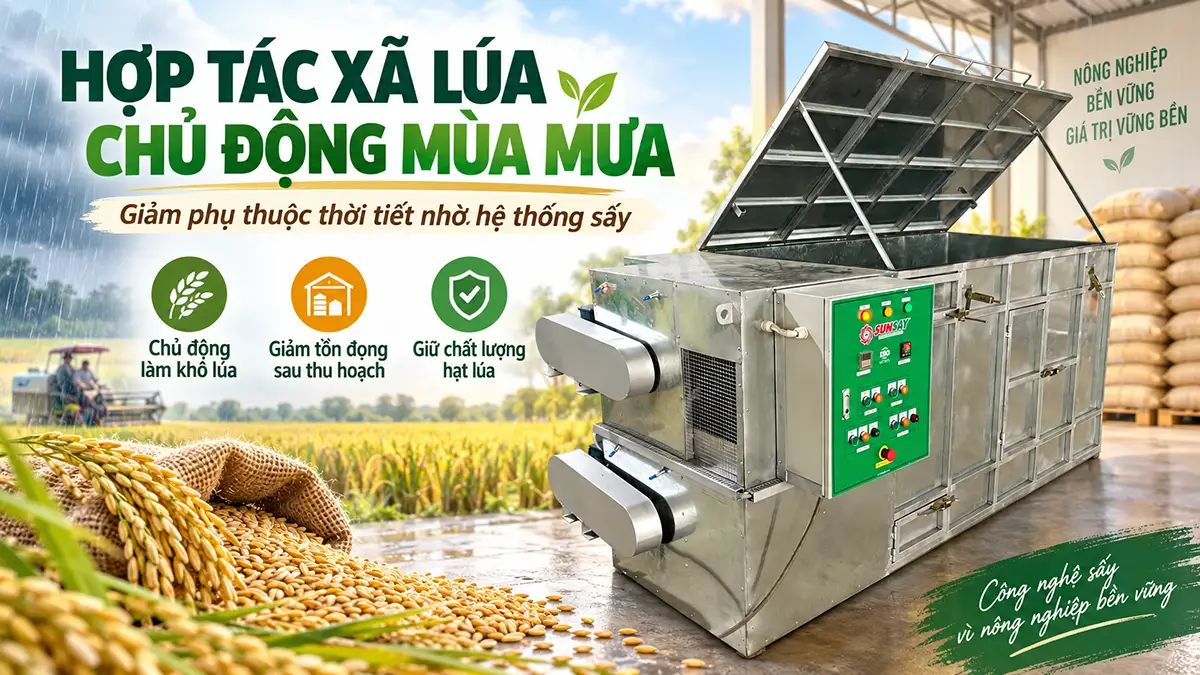 Hợp tác xã lúa giảm phụ thuộc thời tiết nhờ hệ thống sấy