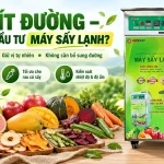 Đầu tư máy sấy lạnh cho sản phẩm ít đường có phù hợp không? Máy sấy lạnh cho sản phẩm ít đường