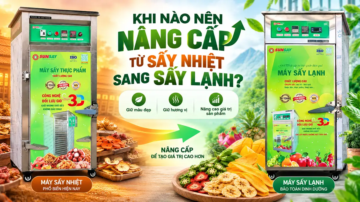 Khi nào nên nâng cấp từ sấy nhiệt sang sấy lạnh?