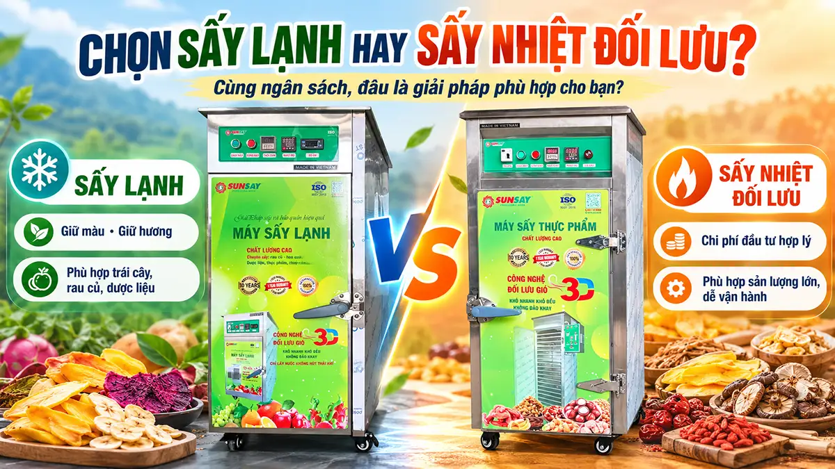 Cùng ngân sách nên chọn sấy lạnh hay sấy nhiệt đối lưu?