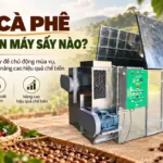 Sấy cà phê nên chọn máy sấy nào để nâng cao hiệu quả chế biến? Sấy cà phê nên chọn máy sấy nào?