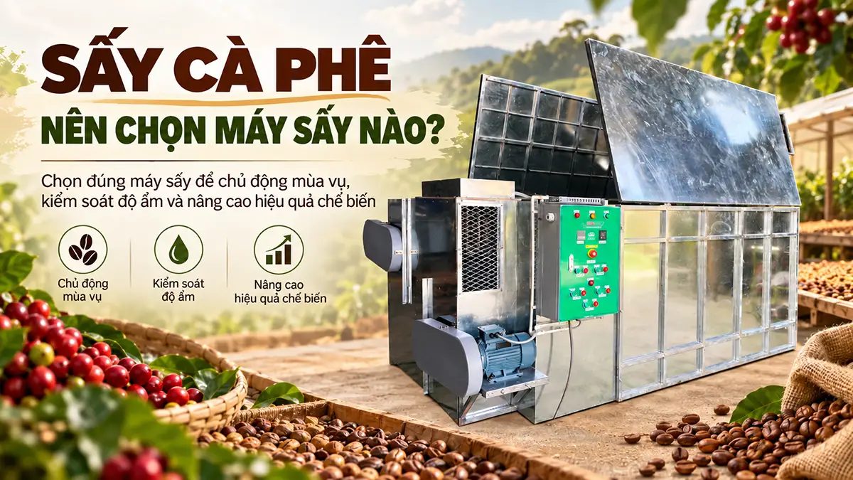 Sấy cà phê nên chọn máy sấy nào để nâng cao hiệu quả chế biến?