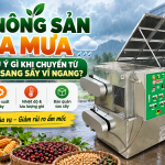 Sấy nông sản mùa mưa cần lưu ý gì khi chuyển từ phơi sân sang sấy vĩ ngang? Sấy nông sản mùa mưa cần lưu ý gì